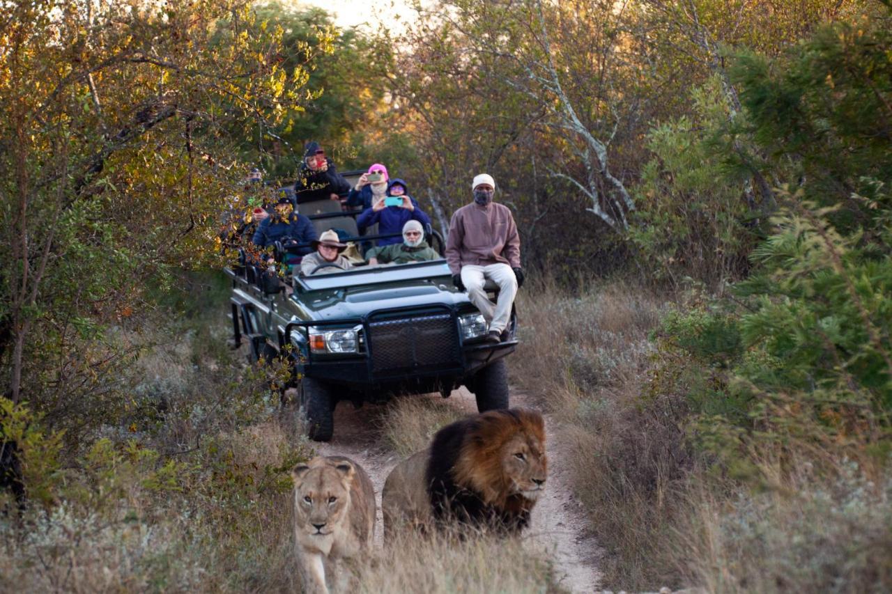 Karongwe Portfolio - Becks Safari Lodge Karongwe Game Reserve Экстерьер фото