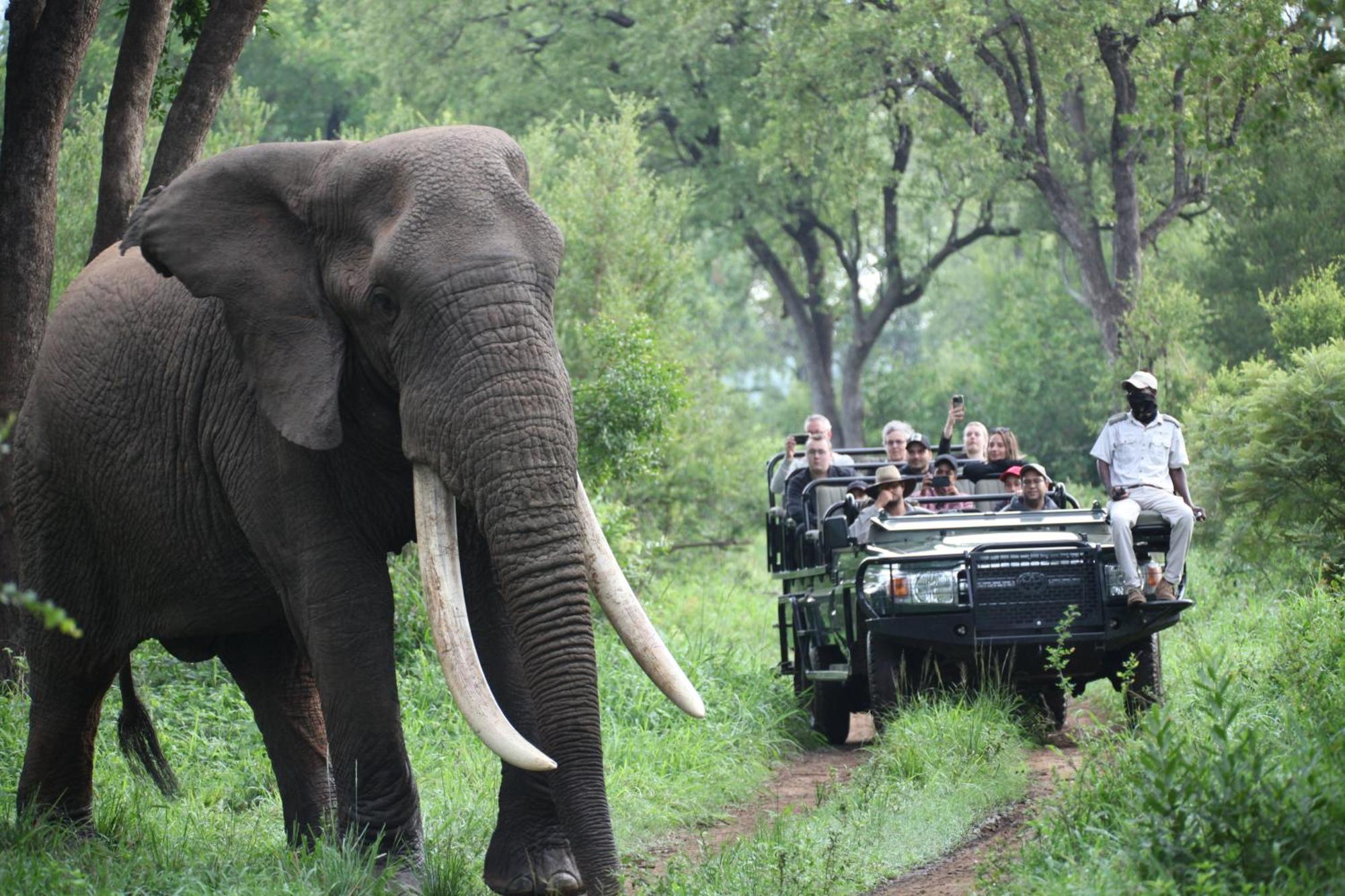 Karongwe Portfolio - Becks Safari Lodge Karongwe Game Reserve Экстерьер фото