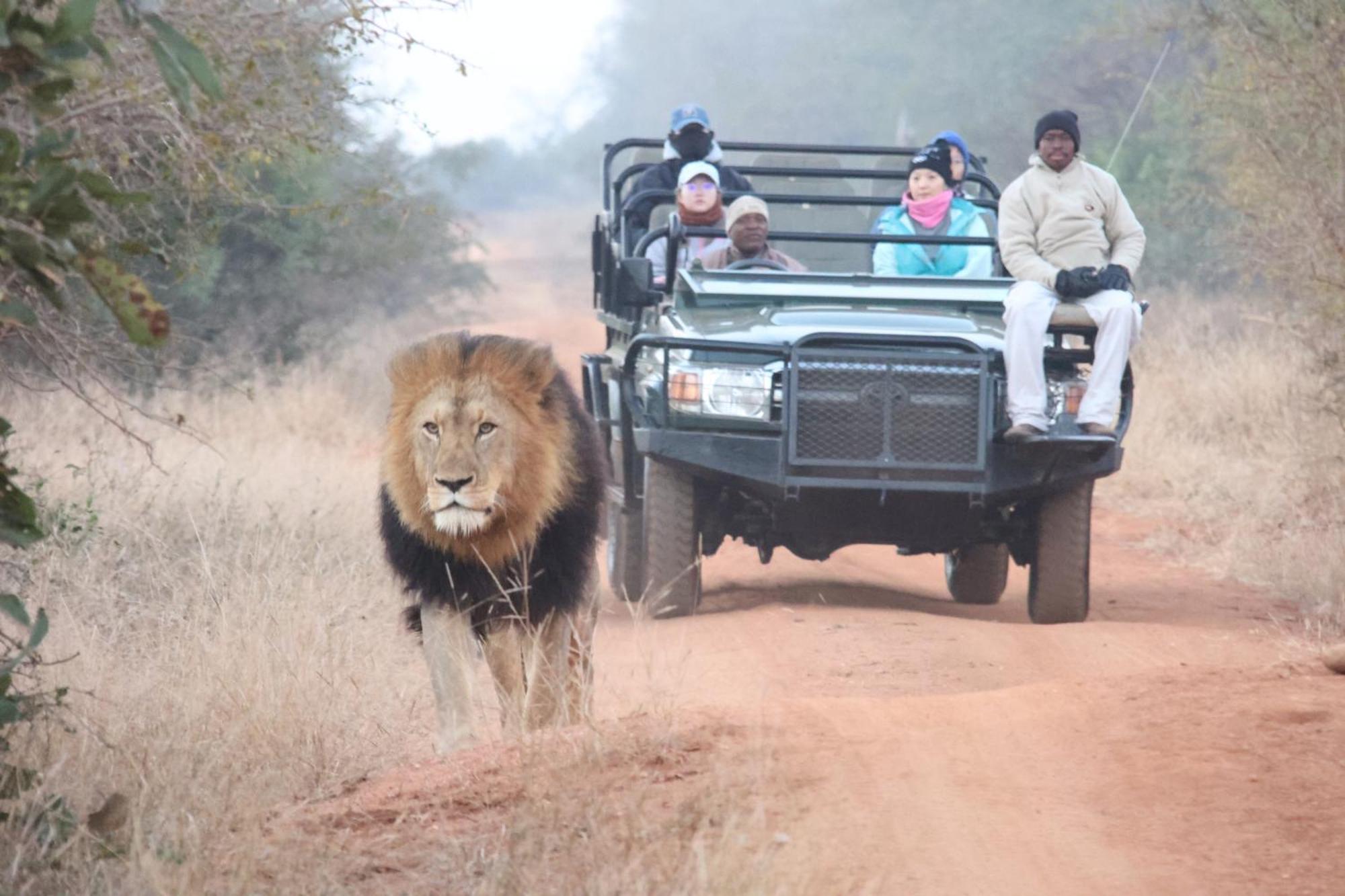 Karongwe Portfolio - Becks Safari Lodge Karongwe Game Reserve Экстерьер фото