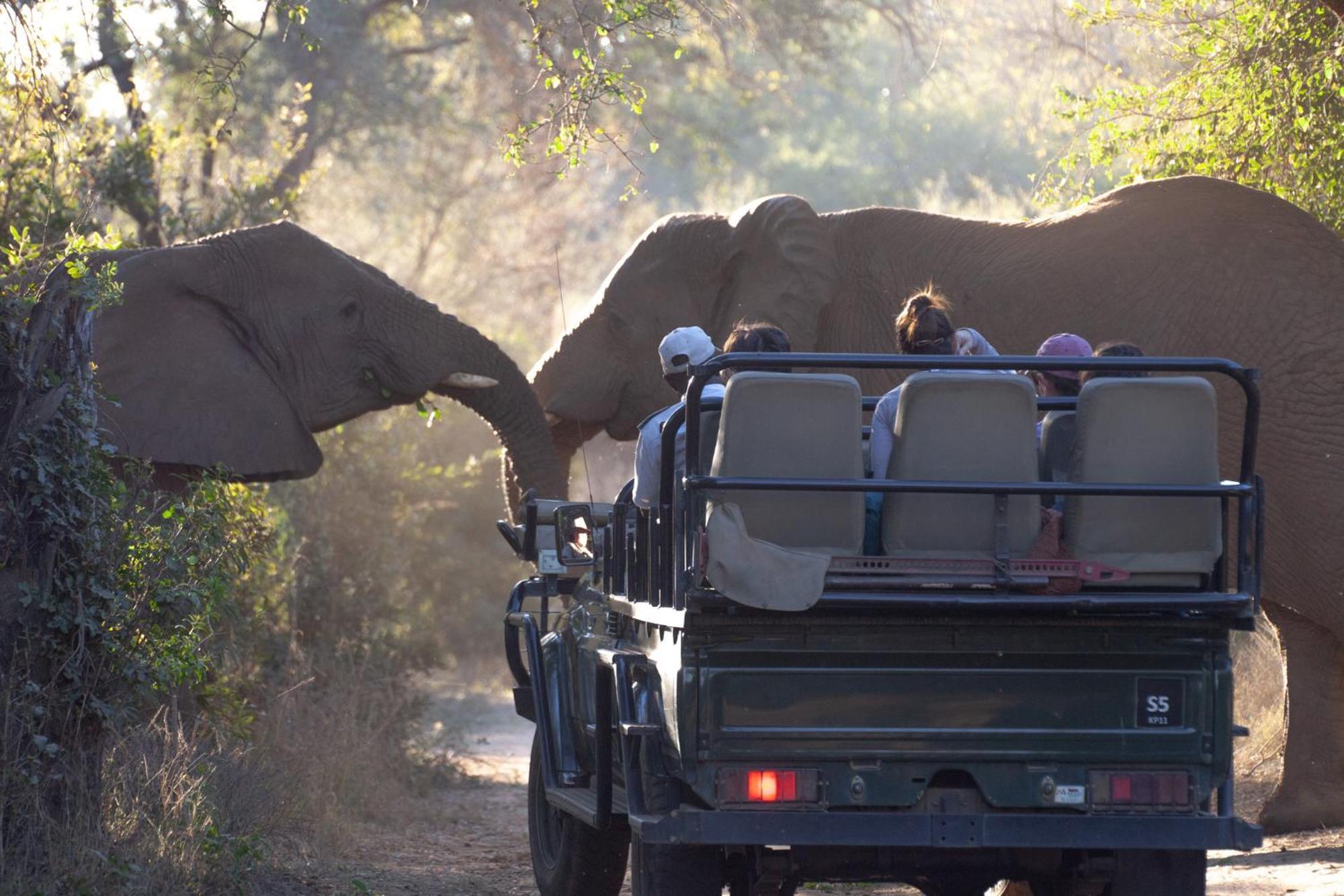 Karongwe Portfolio - Becks Safari Lodge Karongwe Game Reserve Экстерьер фото