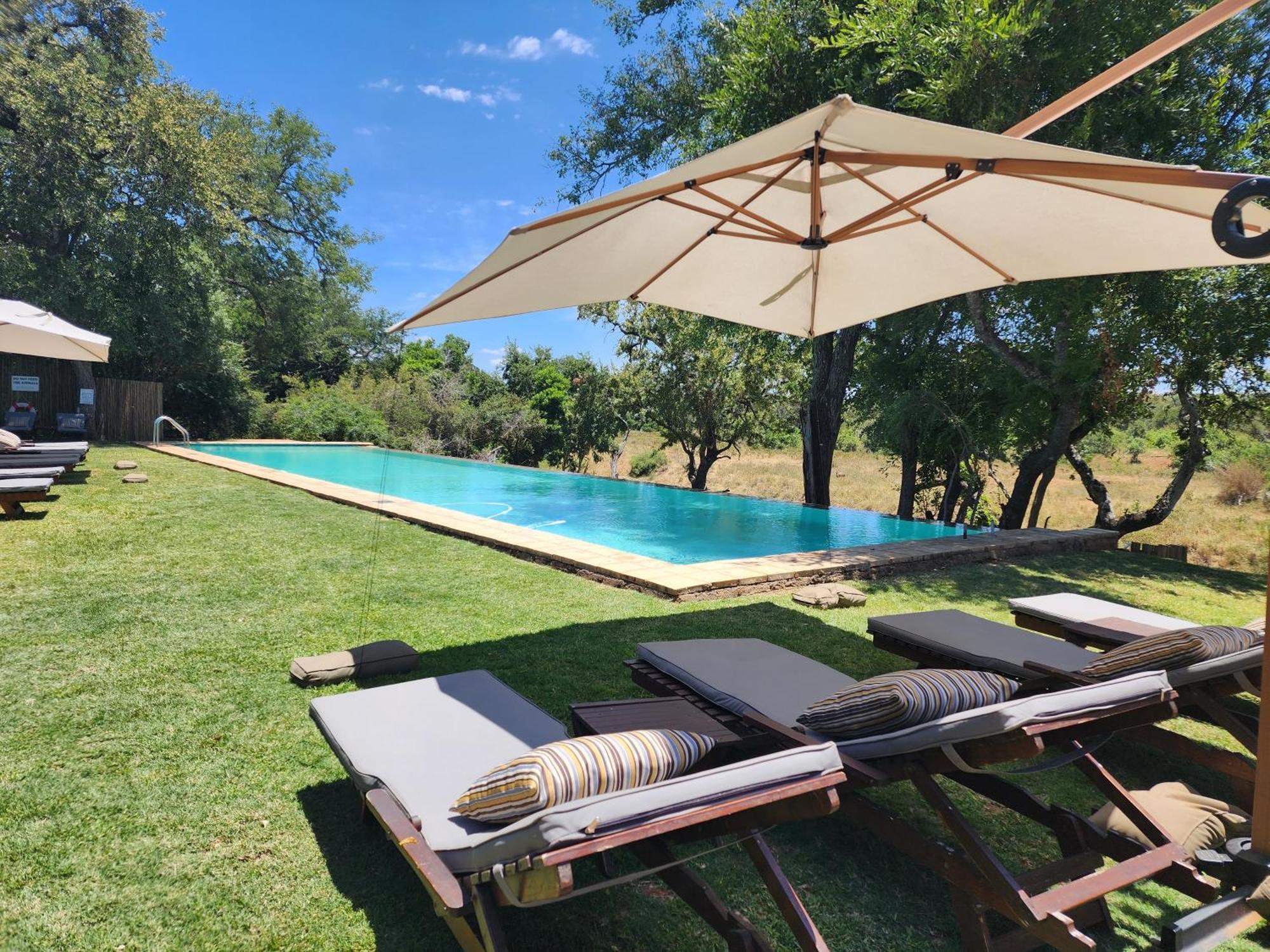 Karongwe Portfolio - Becks Safari Lodge Karongwe Game Reserve Экстерьер фото